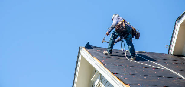 Best Roof Leak Repair  in Juneau, WI
